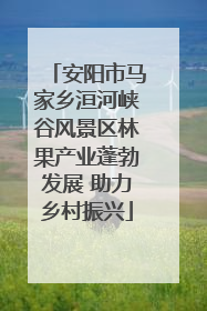安阳市马家乡洹河峡谷风景区林果产业蓬勃发展 助力乡村振兴