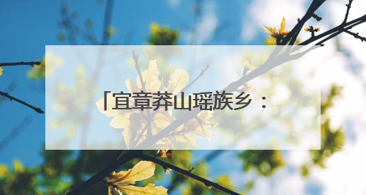 宜章莽山瑶族乡：村庄开“美颜” 群众露“笑颜”