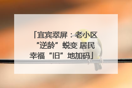 宜宾翠屏：老小区“逆龄”蜕变 居民幸福“旧”地加码