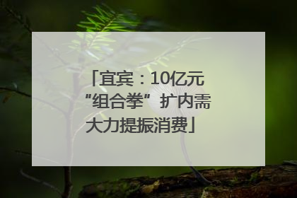 宜宾：10亿元“组合拳”扩内需 大力提振消费