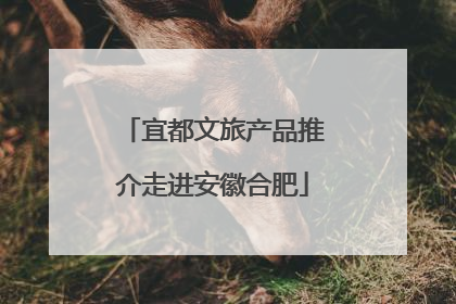 宜都文旅产品推介走进安徽合肥