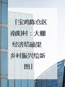 宝鸡陈仓区南阳村：大棚经济结硕果 乡村振兴绘新图