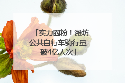 实力圈粉！潍坊公共自行车骑行量破4亿人次