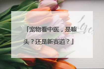 宠物看中医，是噱头？还是新赛道？