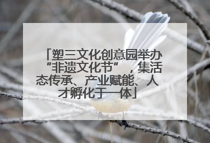 塑三文化创意园举办“非遗文化节”，集活态传承、产业赋能、人才孵化于一体
