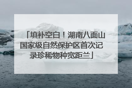 填补空白！湖南八面山国家级自然保护区首次记录珍稀物种宽距兰