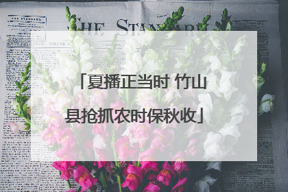 夏播正当时 竹山县抢抓农时保秋收