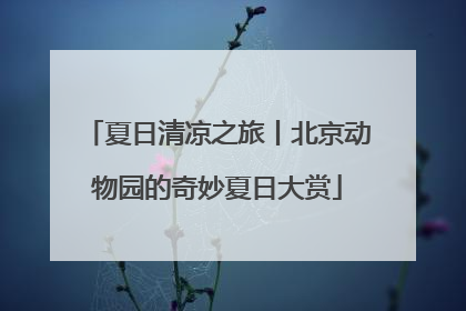 夏日清凉之旅丨北京动物园的奇妙夏日大赏