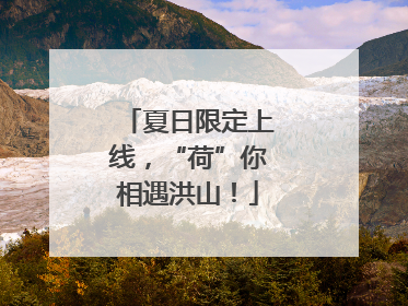 夏日限定上线，“荷”你相遇洪山！