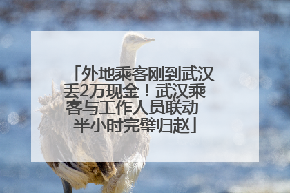 外地乘客刚到武汉丢2万现金！武汉乘客与工作人员联动 半小时完璧归赵