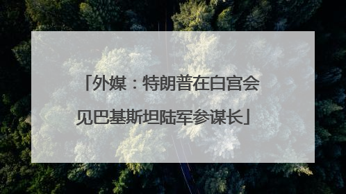 外媒：特朗普在白宫会见巴基斯坦陆军参谋长