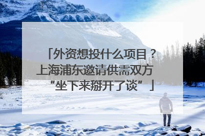 外资想投什么项目？上海浦东邀请供需双方“坐下来掰开了谈”