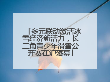 多元联动激活冰雪经济新活力，长三角青少年滑雪公开赛在沪落幕