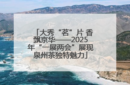 大秀“茗”片 香飘京华——2025年“一展两会”展现泉州茶独特魅力