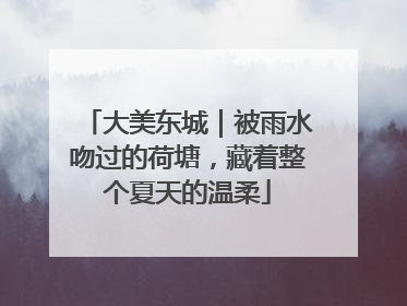 大美东城｜被雨水吻过的荷塘，藏着整个夏天的温柔