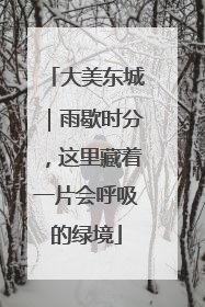 大美东城｜雨歇时分，这里藏着一片会呼吸的绿境