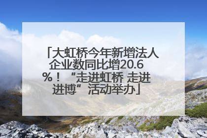 大虹桥今年新增法人企业数同比增20.6%！“走进虹桥 走进进博”活动举办