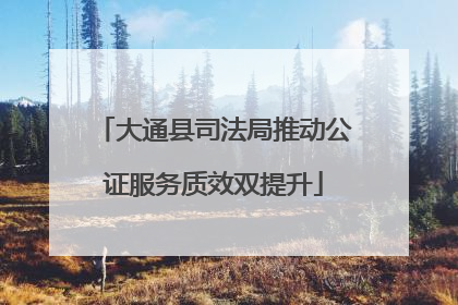 大通县司法局推动公证服务质效双提升