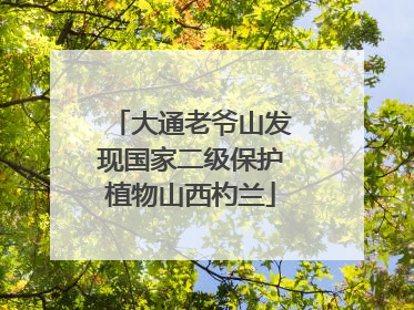 大通老爷山发现国家二级保护植物山西杓兰