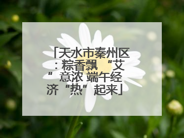 天水市秦州区：粽香飘 “艾”意浓 端午经济“热”起来
