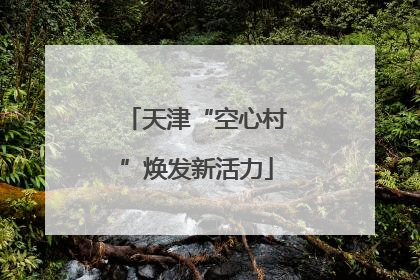 天津“空心村”焕发新活力