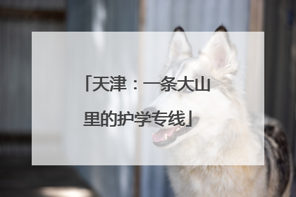 天津：一条大山里的护学专线