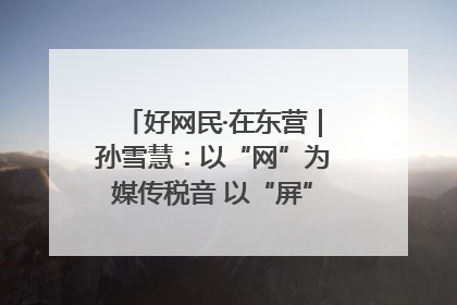 好网民·在东营｜孙雪慧：以“网”为媒传税音 以“屏”为介助发展