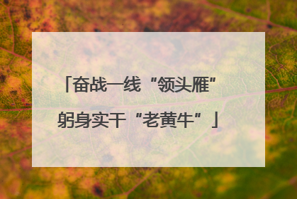 奋战一线“领头雁” 躬身实干“老黄牛”