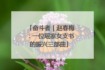 奋斗者｜赵春梅：一位瑶寨女支书的振兴三部曲
