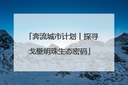 奔流城市计划丨探寻戈壁明珠生态密码