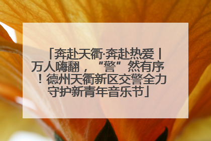 奔赴天衢·奔赴热爱丨万人嗨翻，“警”然有序！德州天衢新区交警全力守护新青年音乐节