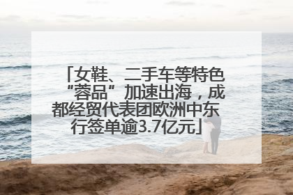 女鞋、二手车等特色“蓉品”加速出海，成都经贸代表团欧洲中东行签单逾3.7亿元