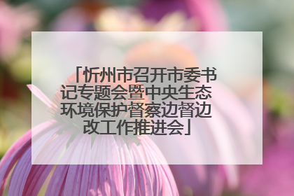 忻州市召开市委书记专题会暨中央生态环境保护督察边督边改工作推进会