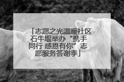 志愿之光温暖社区 石牛堰举办“携手同行 感恩有你”志愿服务答谢季
