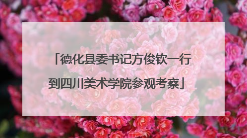 德化县委书记方俊钦一行到四川美术学院参观考察