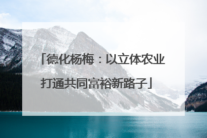 德化杨梅：以立体农业打通共同富裕新路子