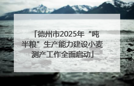 德州市2025年“吨半粮”生产能力建设小麦测产工作全面启动