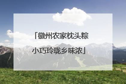徽州农家枕头粽 小巧玲珑乡味浓