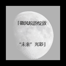 徽风皖韵绽放“未来”光彩