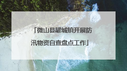 微山县驩城镇开展防汛物资自查盘点工作