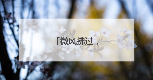 微风拂过，露台生金！