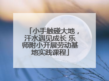 小手触碰大地，汗水遇见成长 乐师附小开展劳动基地实践课程