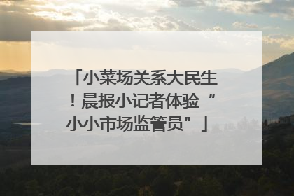 小菜场关系大民生！晨报小记者体验“小小市场监管员”