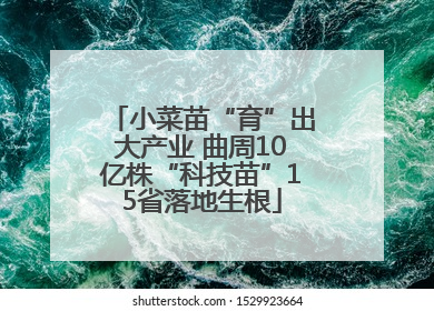 小菜苗“育”出大产业 曲周10亿株“科技苗”15省落地生根