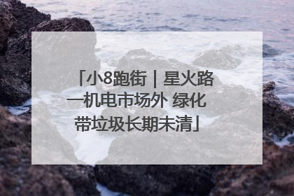 小8跑街｜星火路一机电市场外 绿化带垃圾长期未清