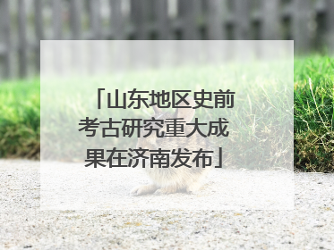 山东地区史前考古研究重大成果在济南发布