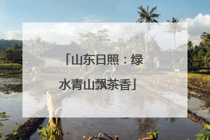 山东日照：绿水青山飘茶香