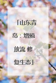 山东青岛：增殖放流 修复生态