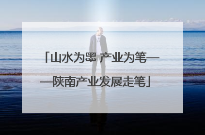 山水为墨 产业为笔——陕南产业发展走笔