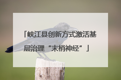 峡江县创新方式激活基层治理“末梢神经”